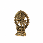 Mini Anand Brass Natraj