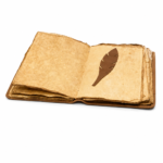 Sadhana Paper Diary
